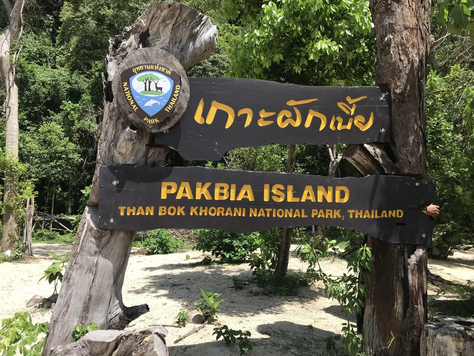 「PAKBIA ISLAND / THAN BOK KHORANI NATIONAL PARK」と書かれた木の看板