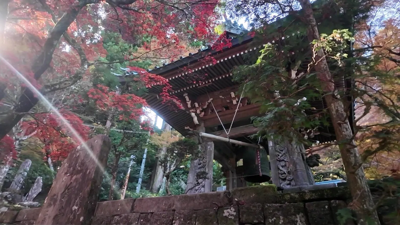 鐘楼を見上げた構図。屋根の上に赤と緑の紅葉が重なっている